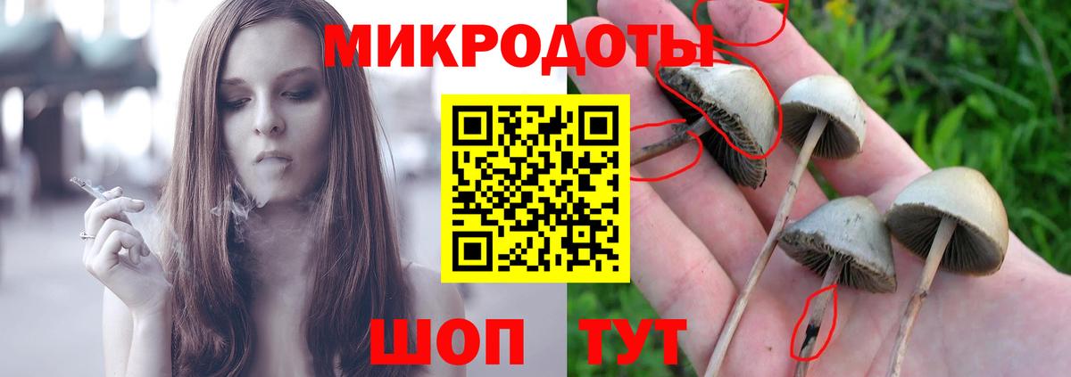 Псилоцибиновые грибы MAGIC MUSHROOMS Морозовск